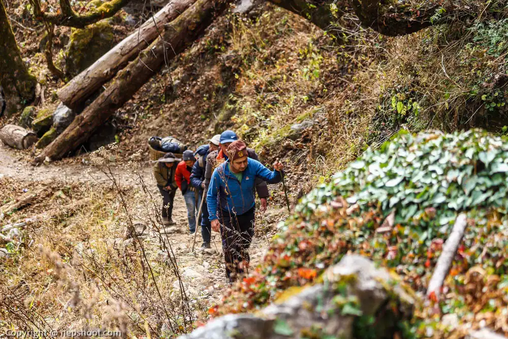 Walking on trail.