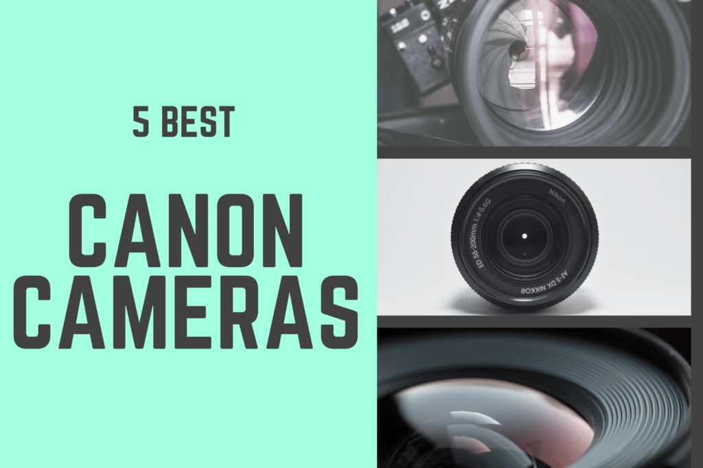 5 best canon cameras
