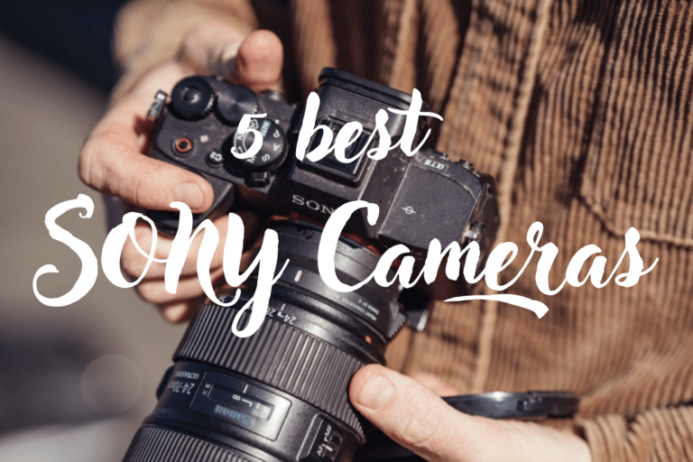 5 best sony cameras