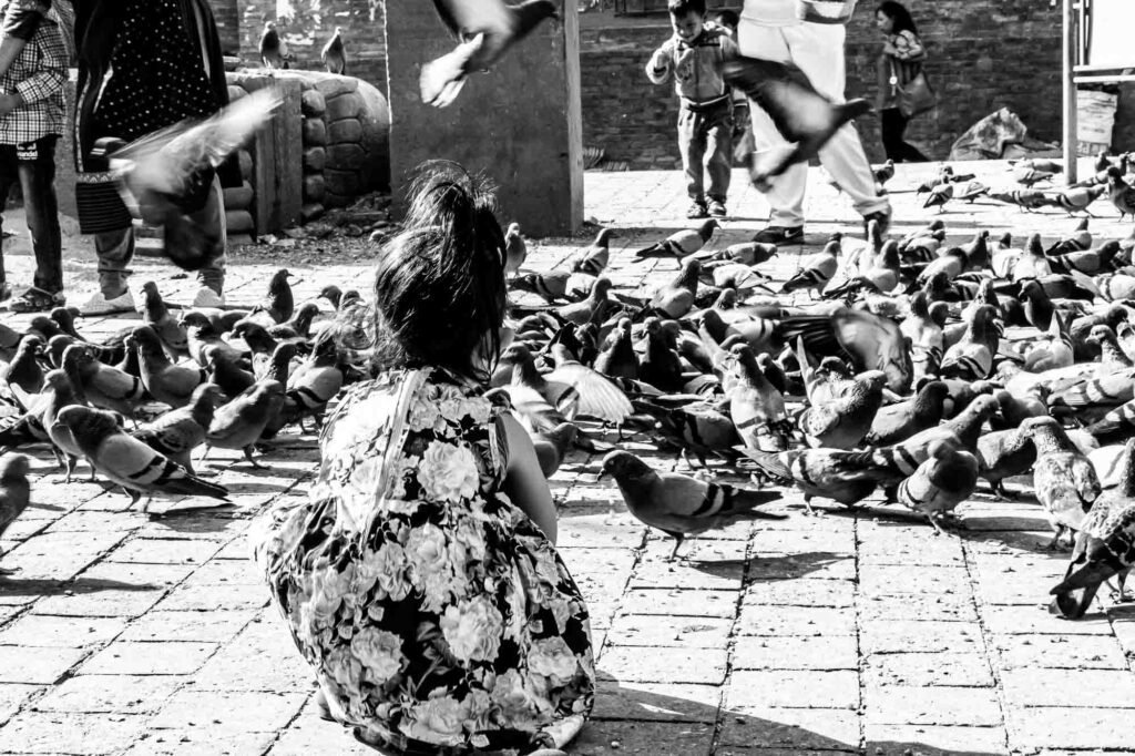 Baby girl feeding grains to the pigeons.