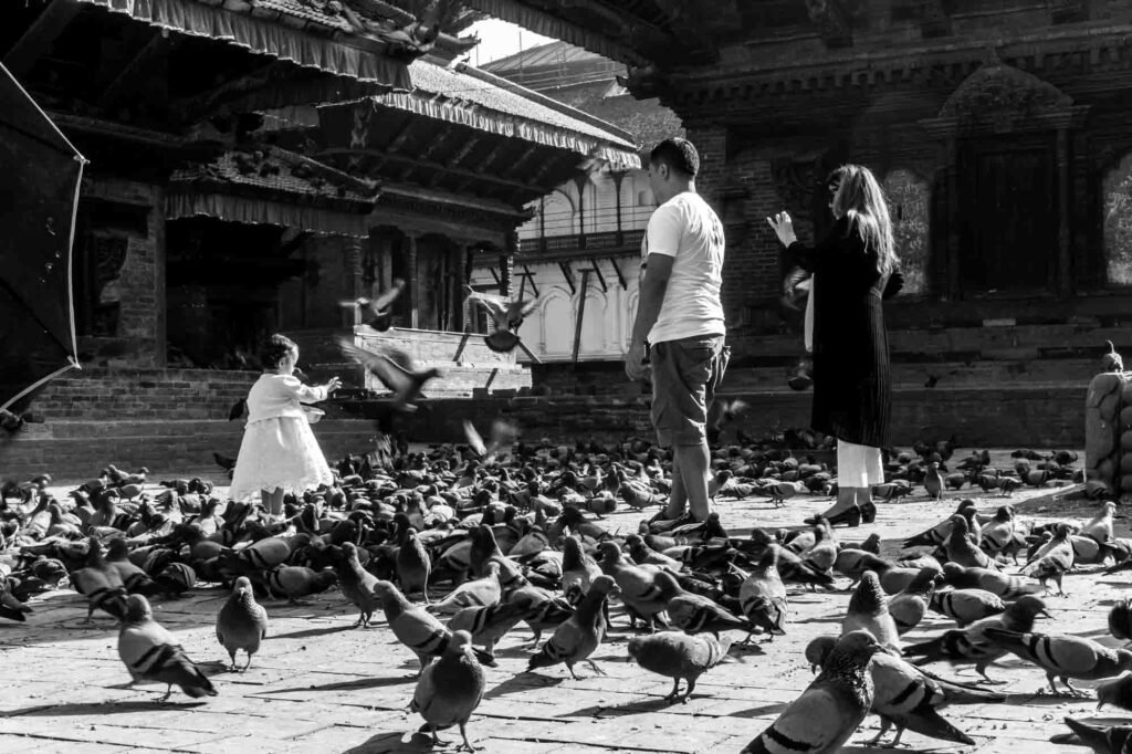 A family with pigeons.