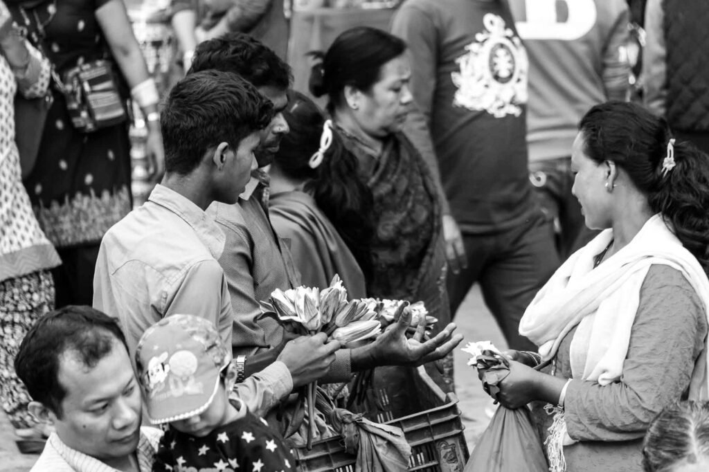 Selling lotus flower.