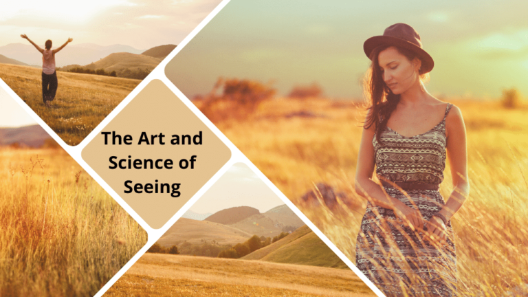 Art of Seeing