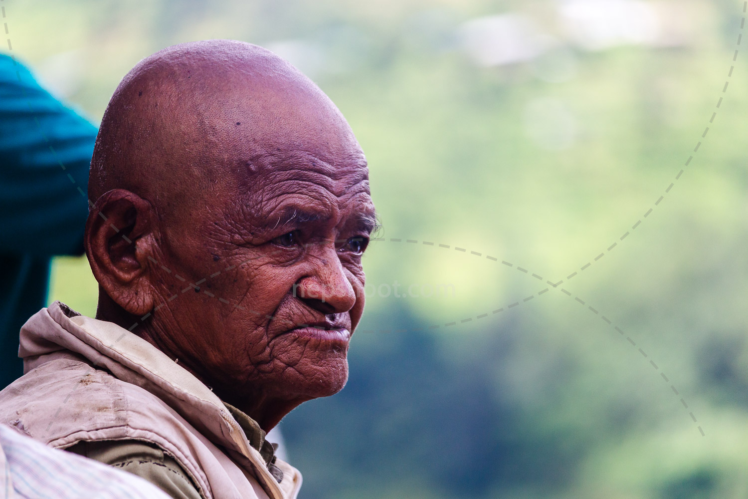 Elder's Profile