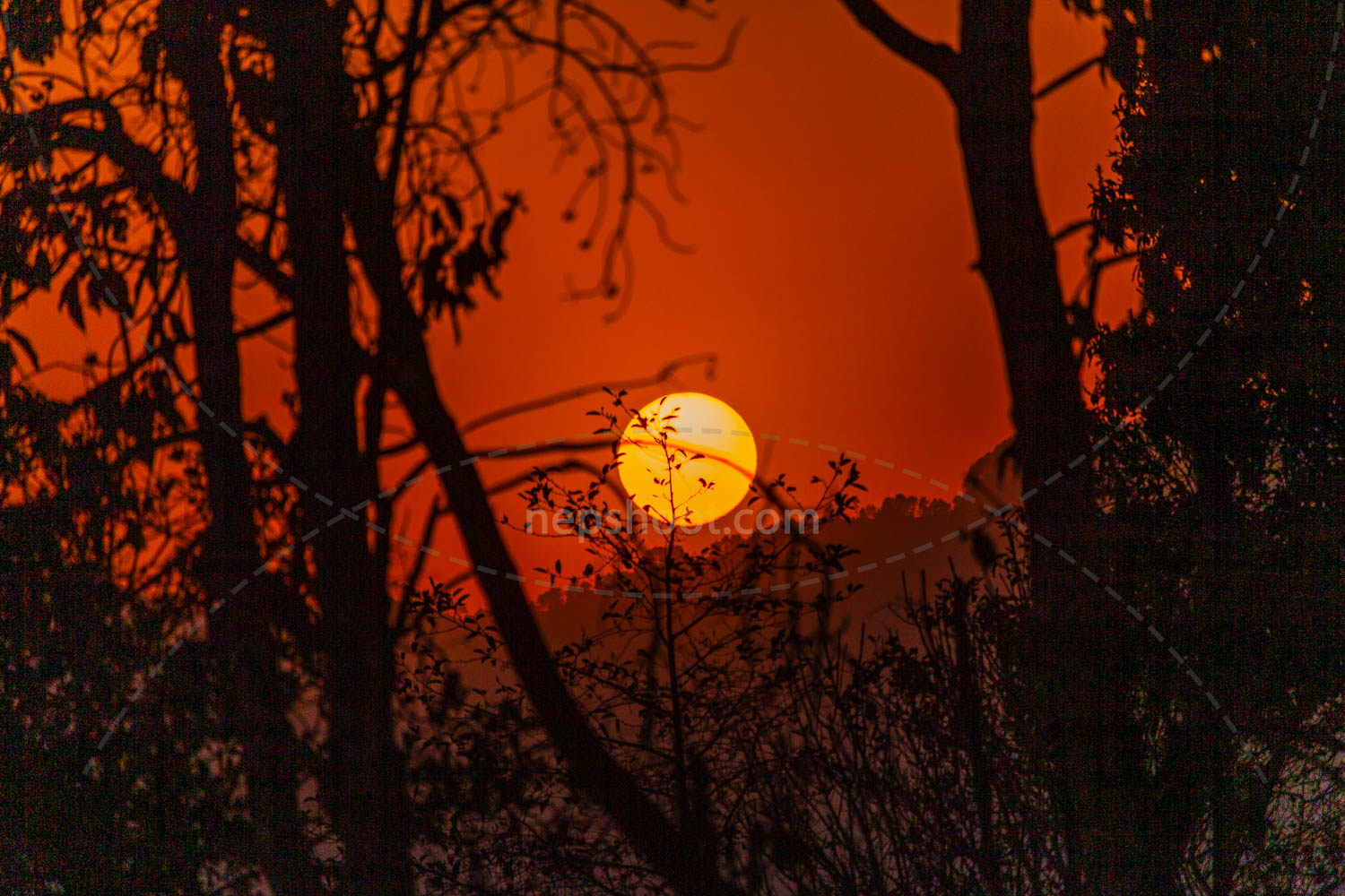 Fiery Sunset