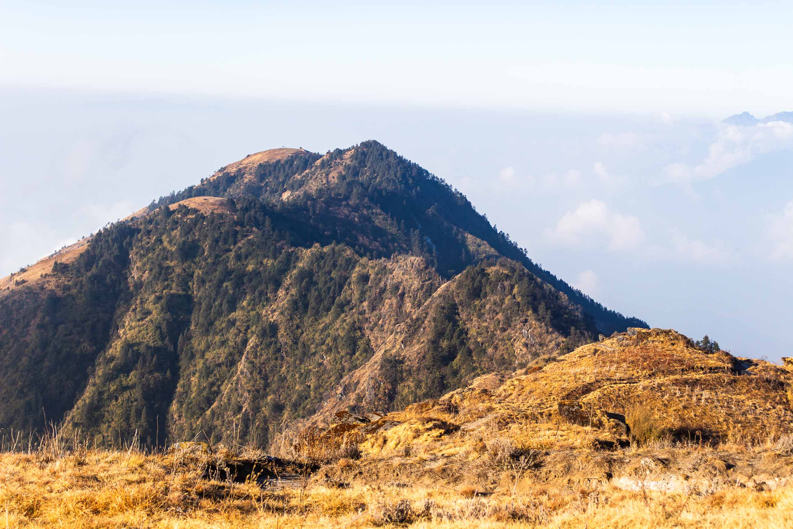 The Rolling, Forest-Covered Foothills of the Himalayas, Sothali above.