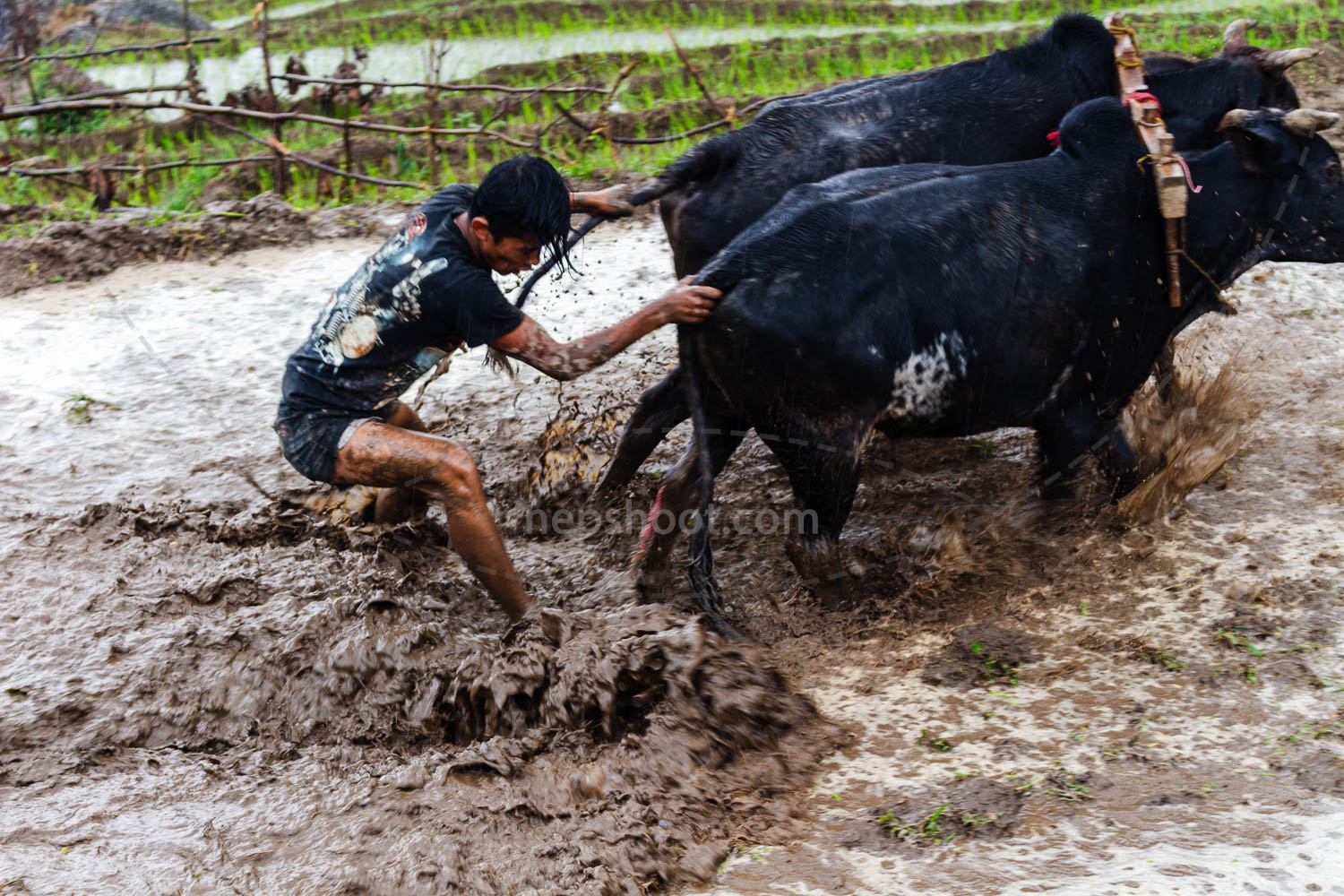 Leveling the Field