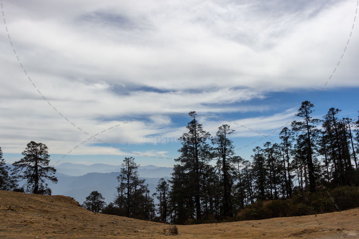 Pine Ridge