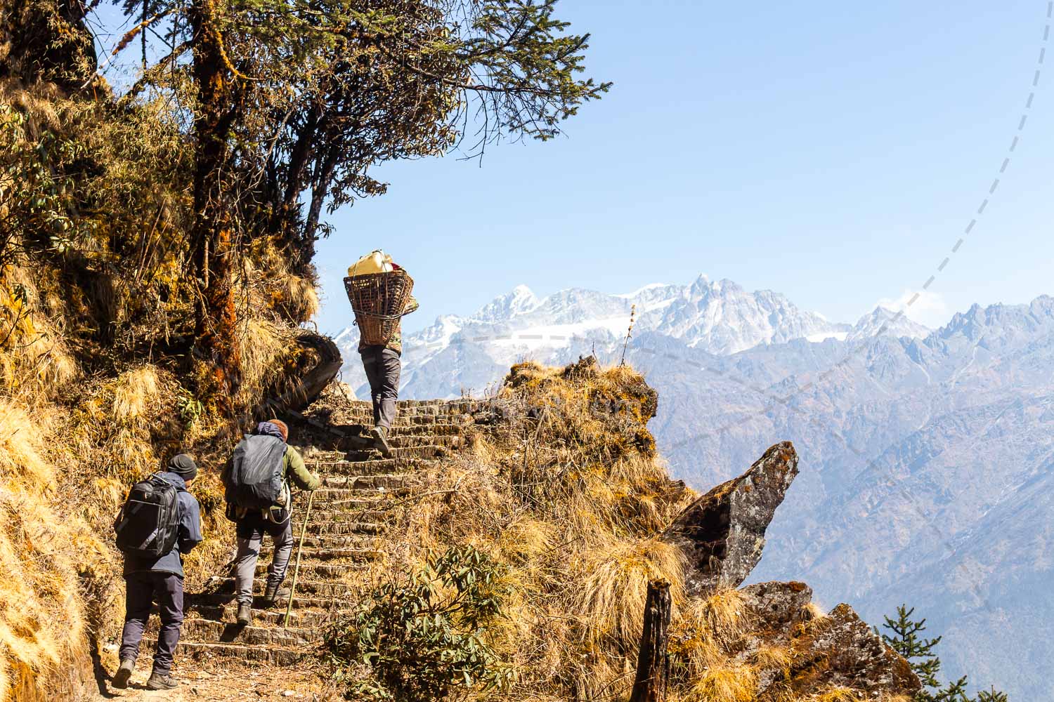 Porters on the Trail