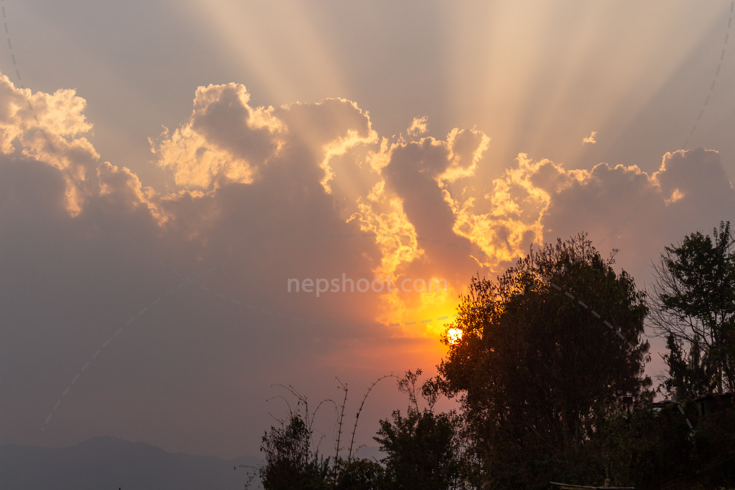 Sunset Rays