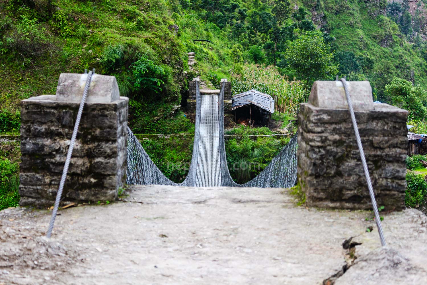 Suspension Bridge Crossing