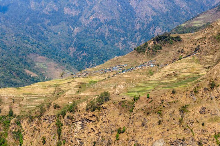 Terraced Hills