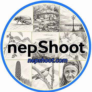 nepShoot